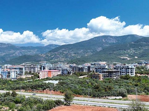 В Турции откроется самый большой общественный сад на 10 000 деревьев